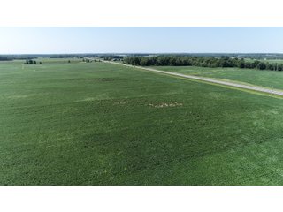 Wayne County, Indiana Farmland - FARMLAND AUCTION - 328+/- ACRES OFFERED IN 5 TRACTS IN WAYNE COUNTY, INDIANA