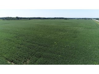 Wayne County, Indiana Farmland - FARMLAND AUCTION - 328+/- ACRES OFFERED IN 5 TRACTS IN WAYNE COUNTY, INDIANA