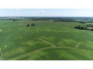 Wayne County, Indiana Farmland - FARMLAND AUCTION - 328+/- ACRES OFFERED IN 5 TRACTS IN WAYNE COUNTY, INDIANA