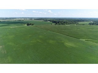 Wayne County, Indiana Farmland - FARMLAND AUCTION - 328+/- ACRES OFFERED IN 5 TRACTS IN WAYNE COUNTY, INDIANA