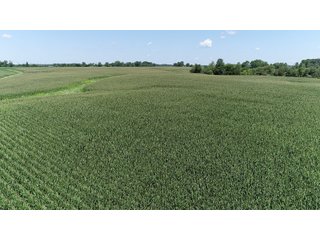 Wayne County, Indiana Farmland - FARMLAND AUCTION - 328+/- ACRES OFFERED IN 5 TRACTS IN WAYNE COUNTY, INDIANA