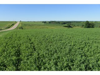 Grant County, Wisconsin Farmland - REAL ESTATE AUCTION - 240+/- ACRES OFFERED IN 6 TRACTS IN GRANT COUNTY, WISCONSIN
