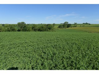 Grant County, Wisconsin Farmland - REAL ESTATE AUCTION - 240+/- ACRES OFFERED IN 6 TRACTS IN GRANT COUNTY, WISCONSIN