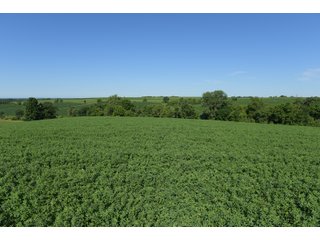 Grant County, Wisconsin Farmland - REAL ESTATE AUCTION - 240+/- ACRES OFFERED IN 6 TRACTS IN GRANT COUNTY, WISCONSIN