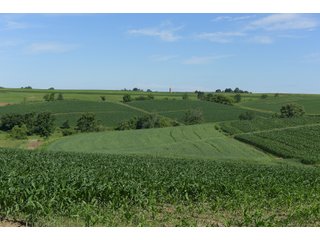 Grant County, Wisconsin Farmland - REAL ESTATE AUCTION - 240+/- ACRES OFFERED IN 6 TRACTS IN GRANT COUNTY, WISCONSIN