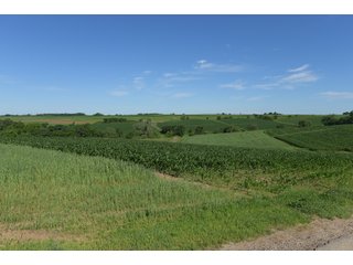 Grant County, Wisconsin Farmland - REAL ESTATE AUCTION - 240+/- ACRES OFFERED IN 6 TRACTS IN GRANT COUNTY, WISCONSIN