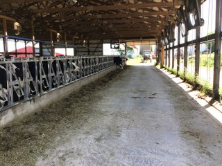 Tract 4 in Grant County, Wisconsin - REAL ESTATE AUCTION - 240+/- ACRES OFFERED IN 6 TRACTS IN GRANT COUNTY, WISCONSIN
