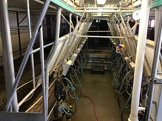 Dairy Facilities in Grant County, Wisconsin - REAL ESTATE AUCTION - 240+/- ACRES OFFERED IN 6 TRACTS IN GRANT COUNTY, WISCONSIN