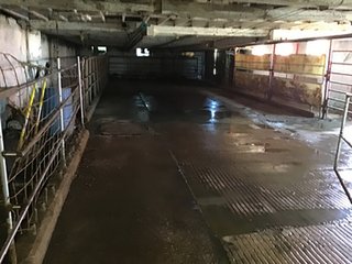 Dairy Facilities in Grant County, Wisconsin - REAL ESTATE AUCTION - 240+/- ACRES OFFERED IN 6 TRACTS IN GRANT COUNTY, WISCONSIN