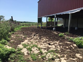 Dairy Facilities in Grant County, Wisconsin - REAL ESTATE AUCTION - 240+/- ACRES OFFERED IN 6 TRACTS IN GRANT COUNTY, WISCONSIN