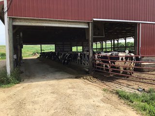 Dairy Facilities in Grant County, Wisconsin - REAL ESTATE AUCTION - 240+/- ACRES OFFERED IN 6 TRACTS IN GRANT COUNTY, WISCONSIN