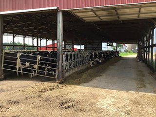 Dairy Facilities in Grant County, Wisconsin - REAL ESTATE AUCTION - 240+/- ACRES OFFERED IN 6 TRACTS IN GRANT COUNTY, WISCONSIN