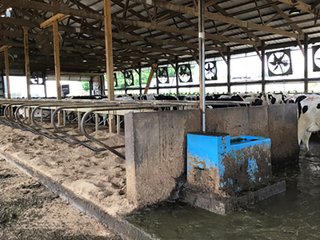 Dairy Facilities in Grant County, Wisconsin - REAL ESTATE AUCTION - 240+/- ACRES OFFERED IN 6 TRACTS IN GRANT COUNTY, WISCONSIN