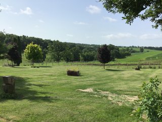 Farmland in Grant County, Wisconsin - REAL ESTATE AUCTION - 240+/- ACRES OFFERED IN 6 TRACTS IN GRANT COUNTY, WISCONSIN