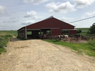 Tract 4 in Grant County, Wisconsin - REAL ESTATE AUCTION - 240+/- ACRES OFFERED IN 6 TRACTS IN GRANT COUNTY, WISCONSIN