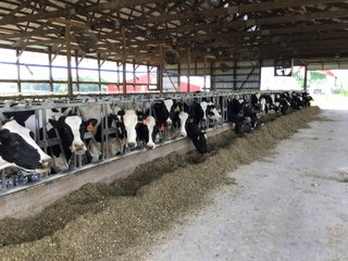 Dairy Facilities in Grant County, Wisconsin - REAL ESTATE AUCTION - 240+/- ACRES OFFERED IN 6 TRACTS IN GRANT COUNTY, WISCONSIN