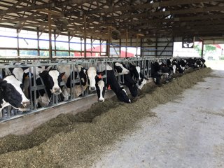 Dairy Facilities in Grant County, Wisconsin - REAL ESTATE AUCTION - 240+/- ACRES OFFERED IN 6 TRACTS IN GRANT COUNTY, WISCONSIN