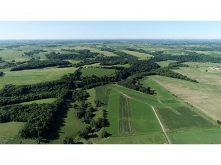 Grant County, Wisconsin Farmland - REAL ESTATE AUCTION - 240+/- ACRES OFFERED IN 6 TRACTS IN GRANT COUNTY, WISCONSIN