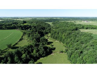 Grant County, Wisconsin Farmland - REAL ESTATE AUCTION - 240+/- ACRES OFFERED IN 6 TRACTS IN GRANT COUNTY, WISCONSIN