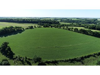 Tract 5 in Grant County, Wisconsin Farmland - REAL ESTATE AUCTION - 240+/- ACRES OFFERED IN 6 TRACTS IN GRANT COUNTY, WISCONSIN