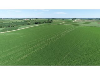 Grant County, Wisconsin Farmland - REAL ESTATE AUCTION - 240+/- ACRES OFFERED IN 6 TRACTS IN GRANT COUNTY, WISCONSIN