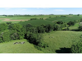 Grant County, Wisconsin Farmland - REAL ESTATE AUCTION - 240+/- ACRES OFFERED IN 6 TRACTS IN GRANT COUNTY, WISCONSIN
