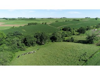 Grant County, Wisconsin Farmland - REAL ESTATE AUCTION - 240+/- ACRES OFFERED IN 6 TRACTS IN GRANT COUNTY, WISCONSIN