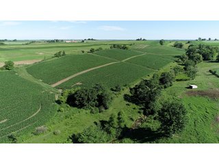 Grant County, Wisconsin Farmland - REAL ESTATE AUCTION - 240+/- ACRES OFFERED IN 6 TRACTS IN GRANT COUNTY, WISCONSIN