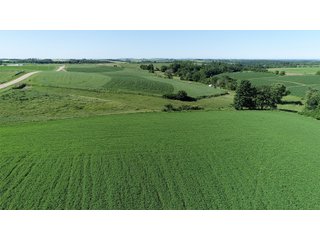 Grant County, Wisconsin Farmland - REAL ESTATE AUCTION - 240+/- ACRES OFFERED IN 6 TRACTS IN GRANT COUNTY, WISCONSIN
