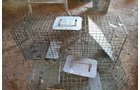 Property photo 41 - PERSONAL PROPERTY AUCTION IN NOBLE COUNTY, INDIANA