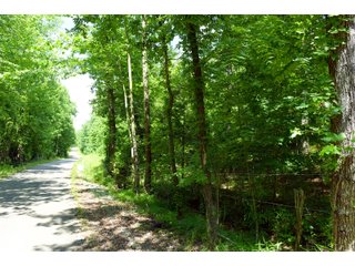 Tract 19 in Hopkins County, Kentucky - LAND AUCTION - 1,879+/- ACRES OFFERED IN 19 INDIVIDUAL TRACTS IN HOPKINS COUNTY, KENTUCKY