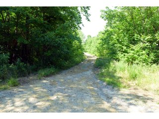 Tract 14 in Hopkins County, Kentucky - LAND AUCTION - 1,879+/- ACRES OFFERED IN 19 INDIVIDUAL TRACTS IN HOPKINS COUNTY, KENTUCKY