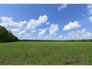 Hopkins County, Kentucky Farmland - LAND AUCTION - 1,879+/- ACRES OFFERED IN 19 INDIVIDUAL TRACTS IN HOPKINS COUNTY, KENTUCKY