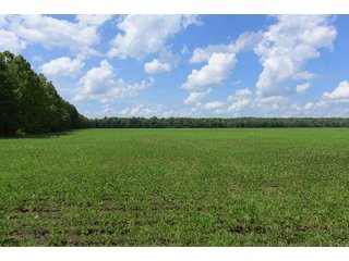 Hopkins County, Kentucky Farmland - LAND AUCTION - 1,879+/- ACRES OFFERED IN 19 INDIVIDUAL TRACTS IN HOPKINS COUNTY, KENTUCKY