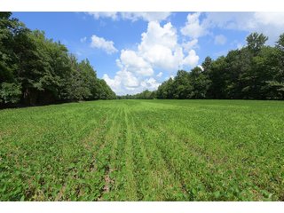 Hopkins County, Kentucky Farmland - LAND AUCTION - 1,879+/- ACRES OFFERED IN 19 INDIVIDUAL TRACTS IN HOPKINS COUNTY, KENTUCKY