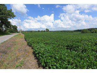 Hopkins County, Kentucky Farmland - LAND AUCTION - 1,879+/- ACRES OFFERED IN 19 INDIVIDUAL TRACTS IN HOPKINS COUNTY, KENTUCKY