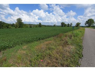 Hopkins County, Kentucky Farmland - LAND AUCTION - 1,879+/- ACRES OFFERED IN 19 INDIVIDUAL TRACTS IN HOPKINS COUNTY, KENTUCKY
