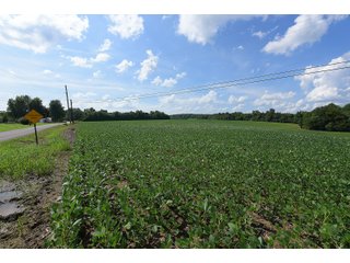 Hopkins County, Kentucky Farmland - LAND AUCTION - 1,879+/- ACRES OFFERED IN 19 INDIVIDUAL TRACTS IN HOPKINS COUNTY, KENTUCKY