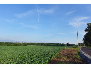 Tract 2 in Hopkins County, Kentucky - LAND AUCTION - 1,879+/- ACRES OFFERED IN 19 INDIVIDUAL TRACTS IN HOPKINS COUNTY, KENTUCKY