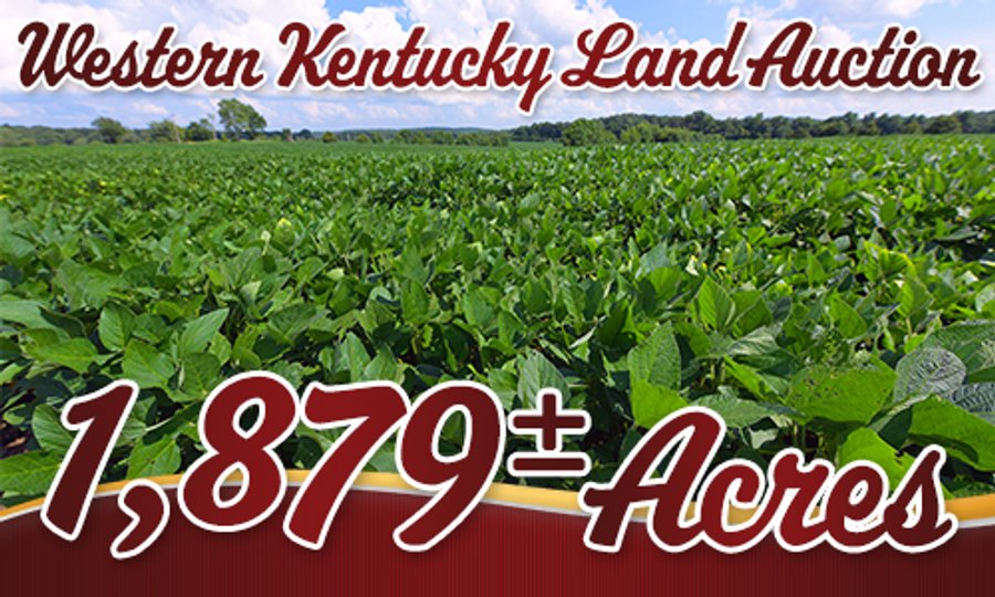 LAND AUCTION - 1,879+/- ACRES OFFERED IN 19 INDIVIDUAL TRACTS IN HOPKINS COUNTY, KENTUCKY