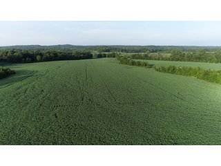 Hopkins County, Kentucky Farmland - LAND AUCTION - 1,879+/- ACRES OFFERED IN 19 INDIVIDUAL TRACTS IN HOPKINS COUNTY, KENTUCKY