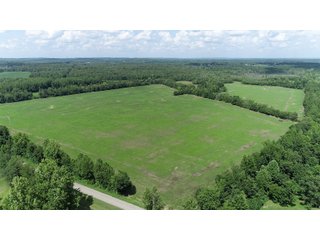 Hopkins County, Kentucky Farmland - LAND AUCTION - 1,879+/- ACRES OFFERED IN 19 INDIVIDUAL TRACTS IN HOPKINS COUNTY, KENTUCKY