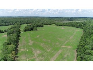 Hopkins County, Kentucky Farmland - LAND AUCTION - 1,879+/- ACRES OFFERED IN 19 INDIVIDUAL TRACTS IN HOPKINS COUNTY, KENTUCKY