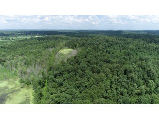 Hopkins County, Kentucky Farmland - LAND AUCTION - 1,879+/- ACRES OFFERED IN 19 INDIVIDUAL TRACTS IN HOPKINS COUNTY, KENTUCKY