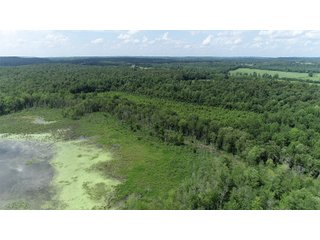 Hopkins County, Kentucky Farmland - LAND AUCTION - 1,879+/- ACRES OFFERED IN 19 INDIVIDUAL TRACTS IN HOPKINS COUNTY, KENTUCKY