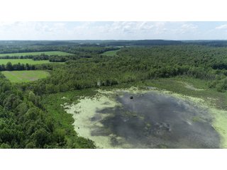 Hopkins County, Kentucky Farmland - LAND AUCTION - 1,879+/- ACRES OFFERED IN 19 INDIVIDUAL TRACTS IN HOPKINS COUNTY, KENTUCKY