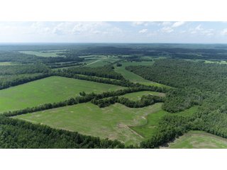 Tract 3 in Hopkins County, Kentucky - LAND AUCTION - 1,879+/- ACRES OFFERED IN 19 INDIVIDUAL TRACTS IN HOPKINS COUNTY, KENTUCKY