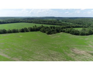 Hopkins County, Kentucky Farmland - LAND AUCTION - 1,879+/- ACRES OFFERED IN 19 INDIVIDUAL TRACTS IN HOPKINS COUNTY, KENTUCKY