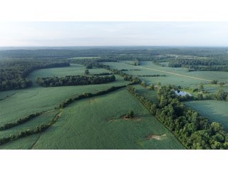 Hopkins County, Kentucky Farmland - LAND AUCTION - 1,879+/- ACRES OFFERED IN 19 INDIVIDUAL TRACTS IN HOPKINS COUNTY, KENTUCKY