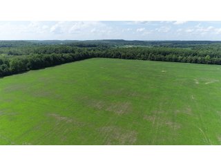 Hopkins County, Kentucky Farmland - LAND AUCTION - 1,879+/- ACRES OFFERED IN 19 INDIVIDUAL TRACTS IN HOPKINS COUNTY, KENTUCKY